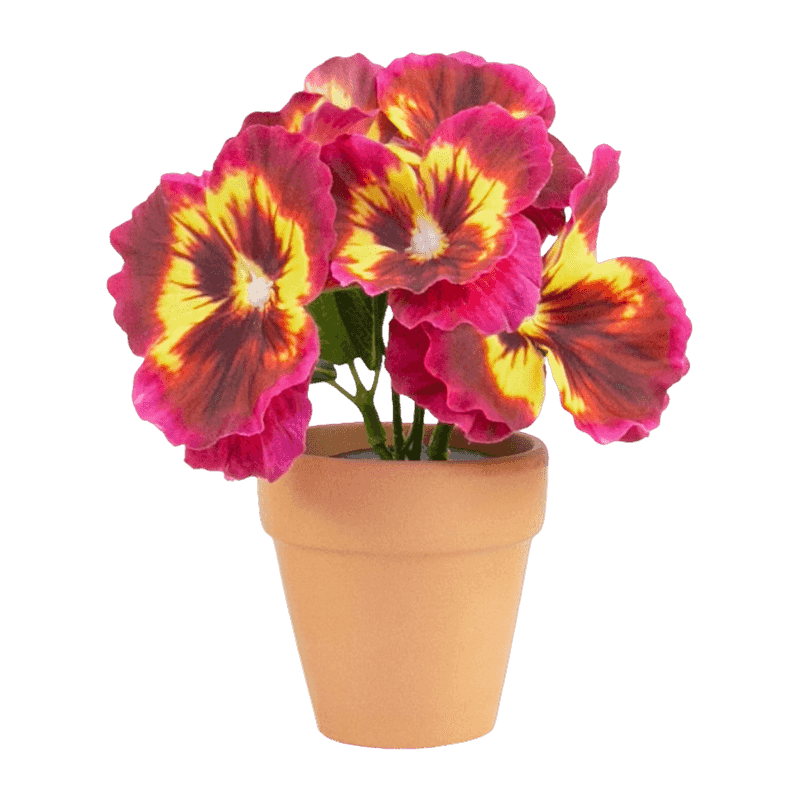 Pansy Flower With Clay Pot