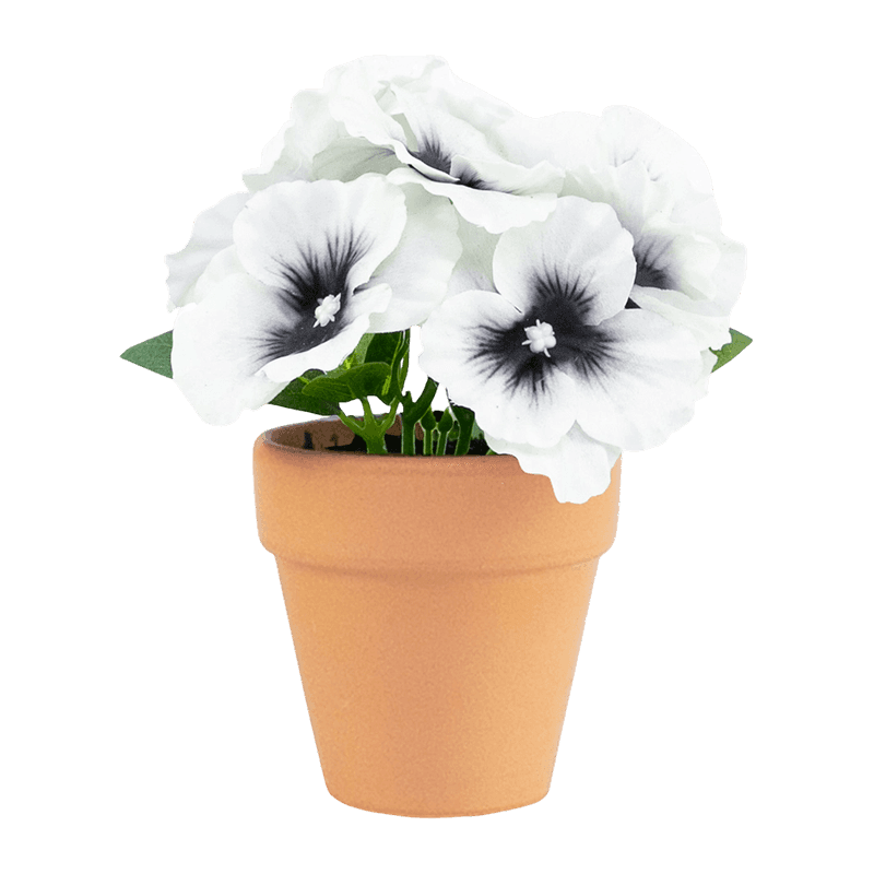 Pansy Flower With Clay Pot