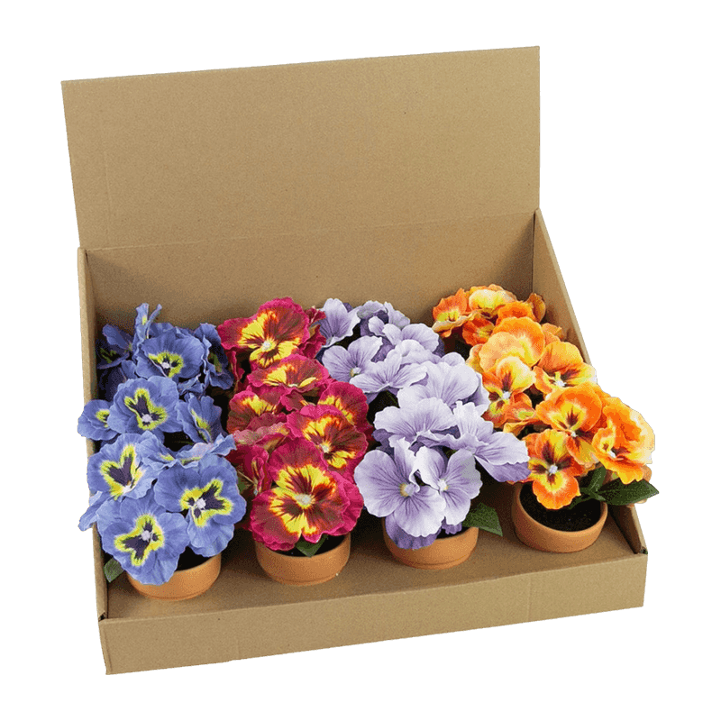 Pansy Flower With Clay Pot