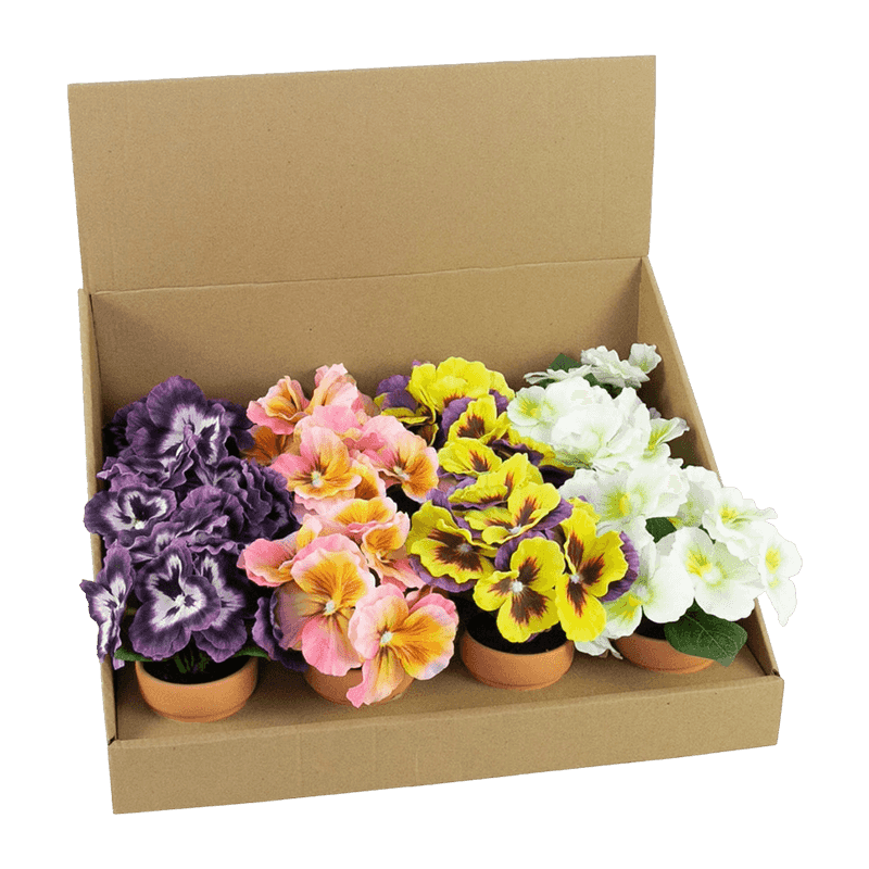 Pansy Flower With Clay Pot