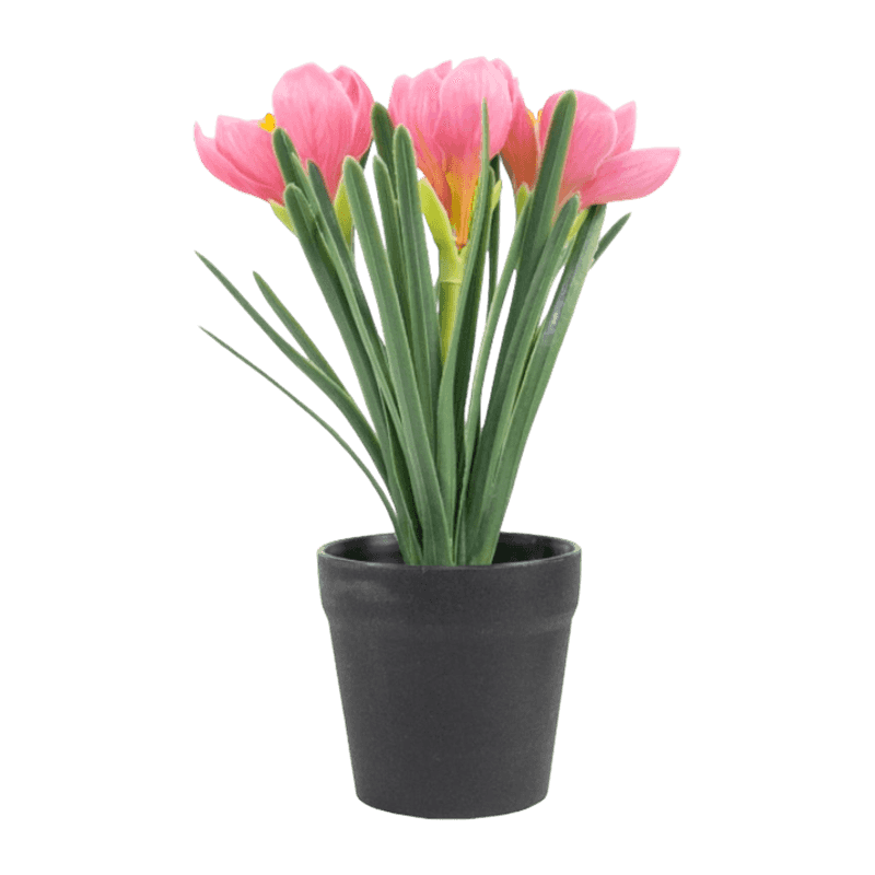 Artificial Narcissus In Pot