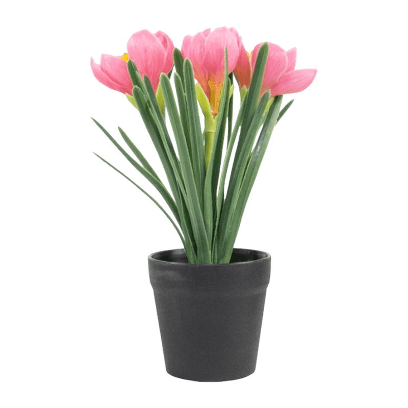 Artificial Narcissus In Pot