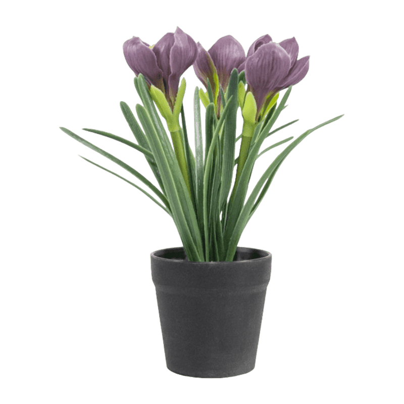 Artificial Narcissus In Pot