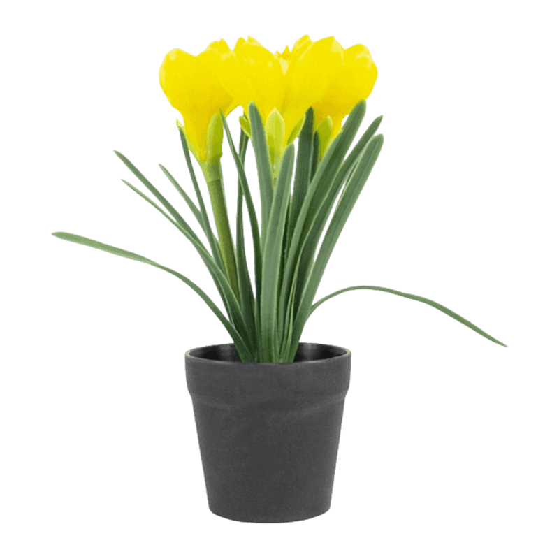 Artificial Narcissus In Pot