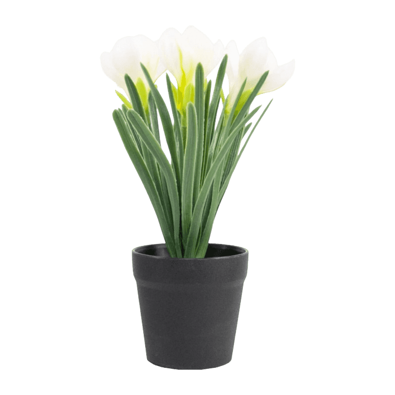 Artificial Narcissus In Pot