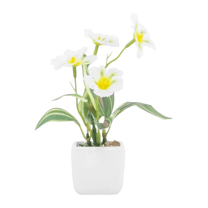 FP346