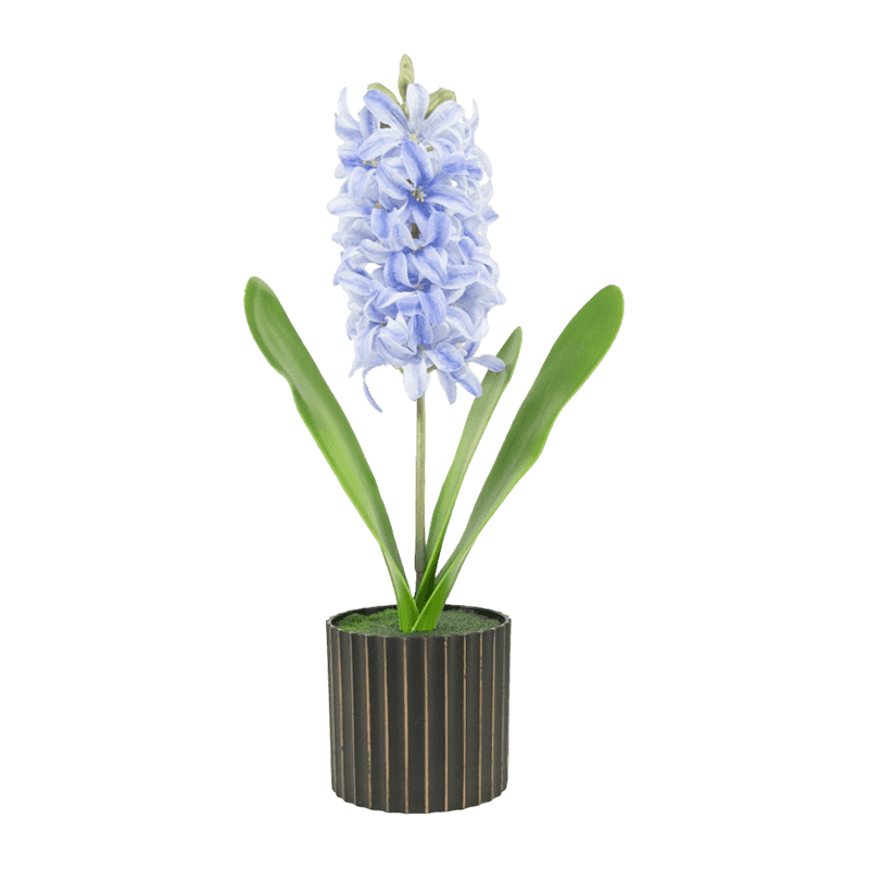 FP354