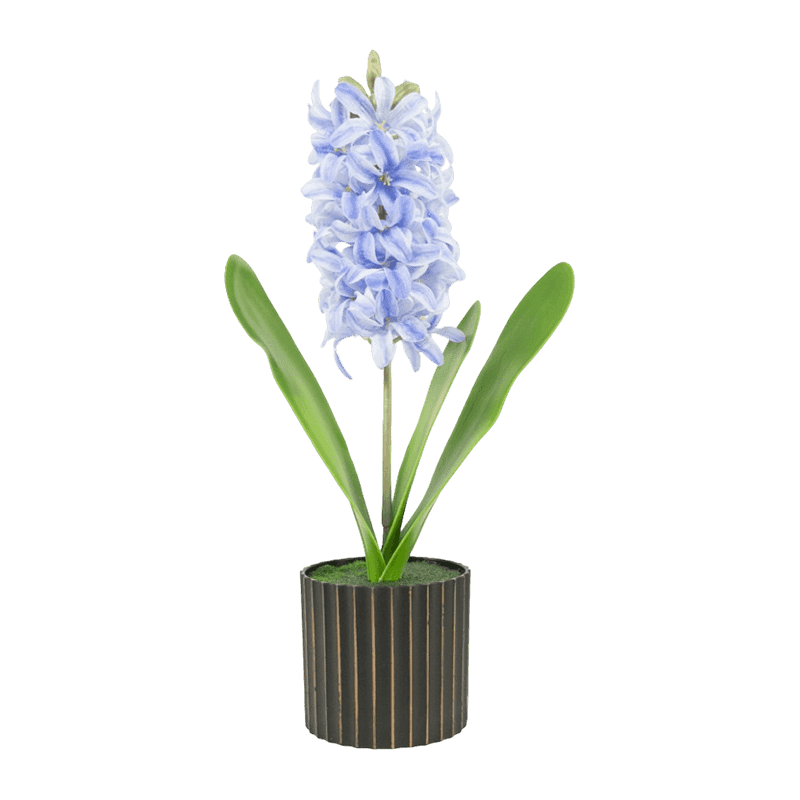 FP354