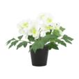 9.84"Artificial Poppy Flower In PP Pot 9.84"Artificial Poppy Flower In PP Pot