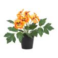 9.84"Artificial Poppy Flower In PP Pot 9.84"Artificial Poppy Flower In PP Pot