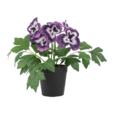 9.84"Artificial Poppy Flower In PP Pot 9.84"Artificial Poppy Flower In PP Pot