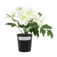 Artificial Pansy Flower In Iron Pot