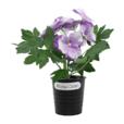 Artificial Pansy Flower In Iron Pot