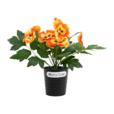 Artificial Pansy Flower In Iron Pot