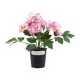 Artificial Pansy Flower In Iron Pot