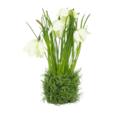 8.27"Artificial Narcissus Flowers