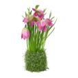 8.27"Artificial Narcissus Flowers