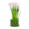 8.27"Artificial Narcissus Flowers