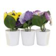 Set of 3 Artificial Poppy Flowers In PP Pot Set of 3 Artificial Poppy Flowers In PP Pot