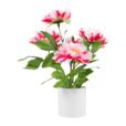 Artificial Peony Flower In PP Pot