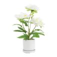 14.6"Artficial Peony With 3 Flowers In PP Pot 14.6"Artficial Peony With 3 Flowers In PP Pot