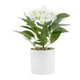 8.6"Artificial Hydrangea In PP Pot