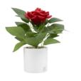 8.6"Artificial Rose In PP Pot 8.6"Artificial Rose In PP Pot