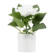 8.6"Artificial Rose In PP Pot 8.6"Artificial Rose In PP Pot