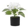8.6"Artificial Hydrangea In PP Pot 8.6"Artificial Hydrangea In PP Pot
