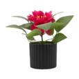 8.6"Artificial Hydrangea In PP Pot 8.6"Artificial Hydrangea In PP Pot