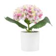 8.6"Hydrangea Flower In PP Pot 8.6"Hydrangea Flower In PP Pot