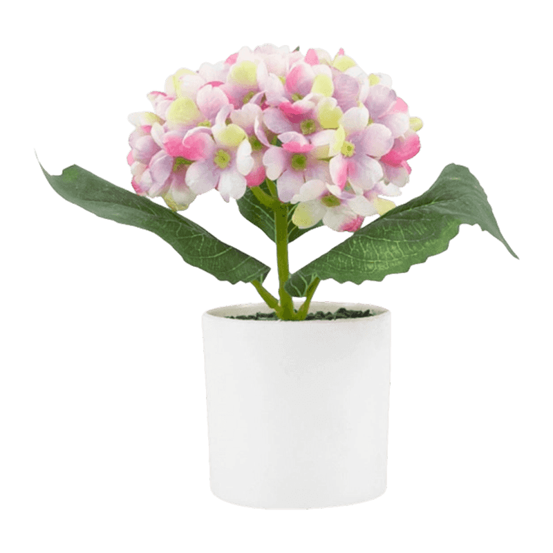 8.6"Hydrangea Flower In PP Pot