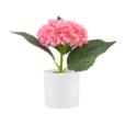 8.6"Hydrangea Flower In PP Pot 8.6"Hydrangea Flower In PP Pot