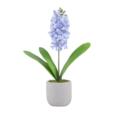 16" Real Touch Hyacinth In Cement Pot