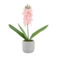 16" Real Touch Hyacinth In Cement Pot