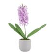 16" Real Touch Hyacinth In Cement Pot
