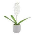 16" Real Touch Hyacinth In Cement Pot