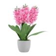 16" Artificial Hyacinth In Cement Pot With 3 16" Artificial Hyacinth In Cement Pot With 3
