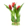 Artificial Flowers7