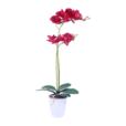 Artificial Orchid In PP Pot Artificial Orchid In PP Pot