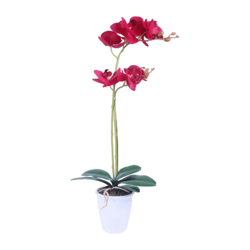 Artificial Orchid In PP Pot