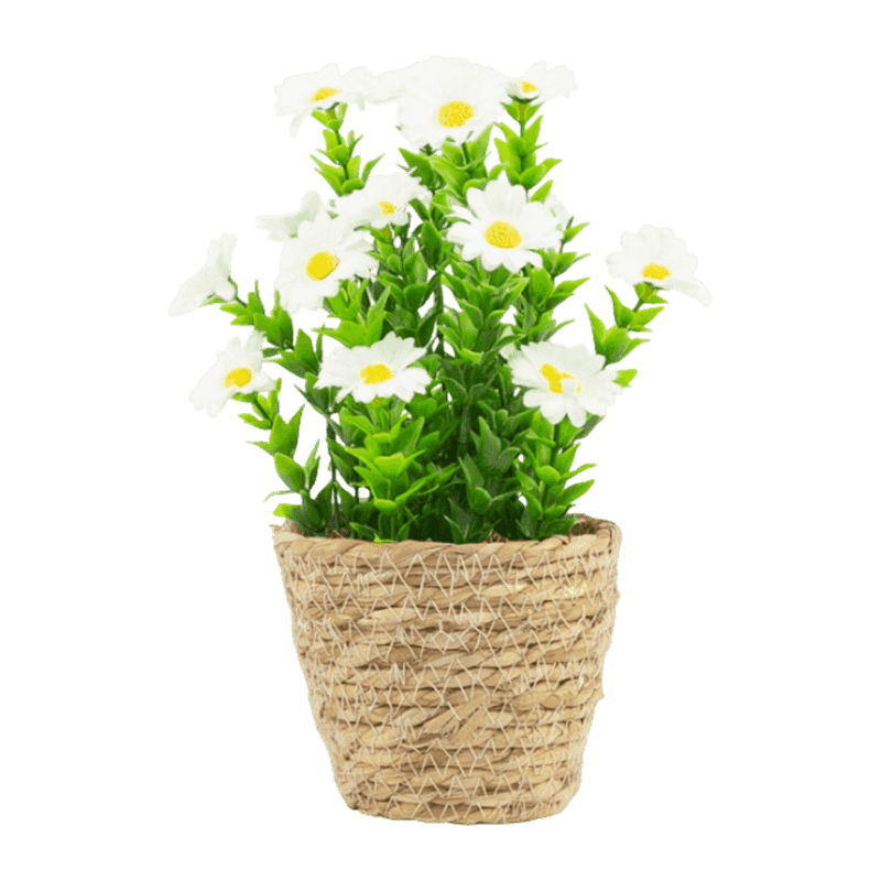 Artificial Daisy Flower In Rattan Pot