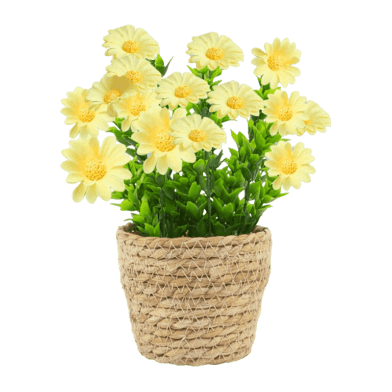 Artificial Daisy Flower In Rattan Pot