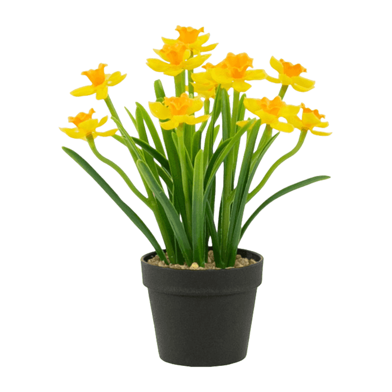 Narcissus In Melamine Pot 2Ass.30cm