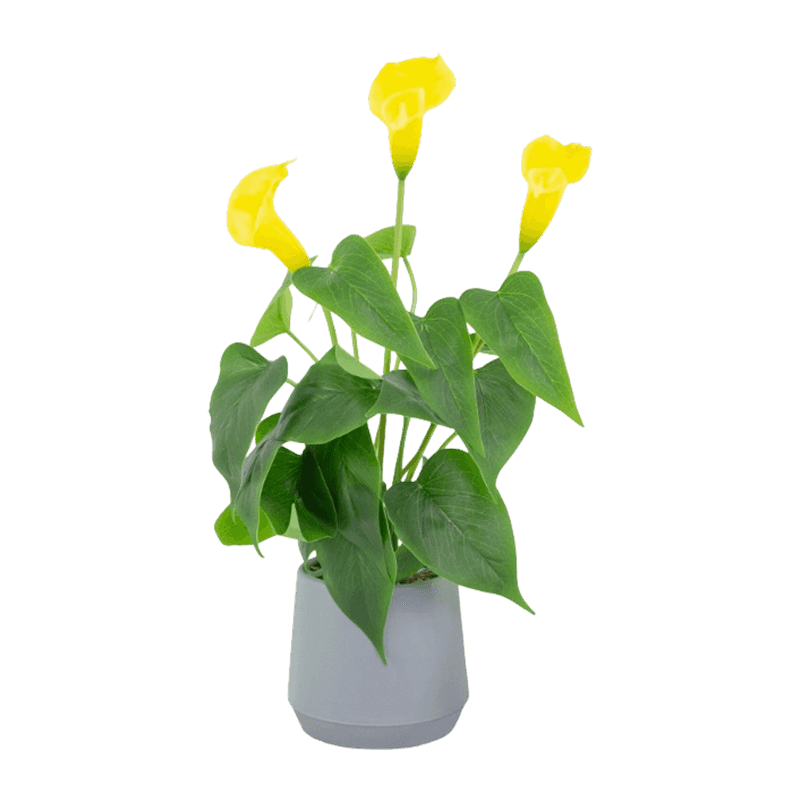 Artificial Calla Lily Flower With Plastic Pot