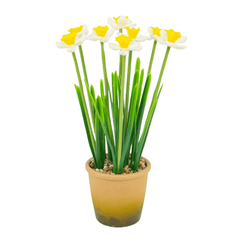 Narcissus In Melamine Pot 2Ass.30cm