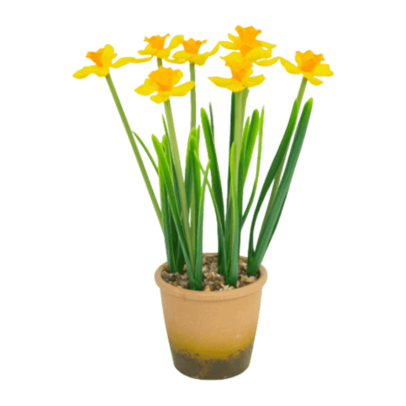 Narcissus In Melamine Pot 2Ass.30cm