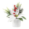 White Christmas Assortment In Cement