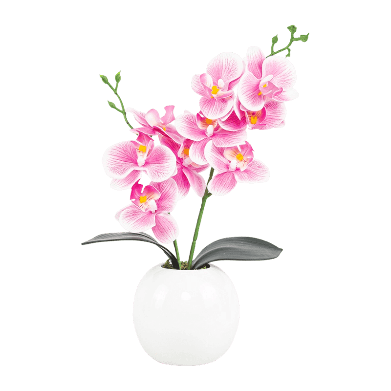 3D Print 9 Flower Orchid In Ceramic Pot