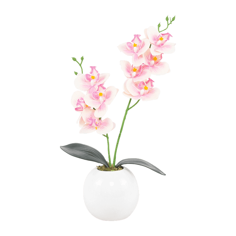 3D Print 9 Flower Orchid In Ceramic Pot 3D Print 9 Flower Orchid In Ceramic Pot